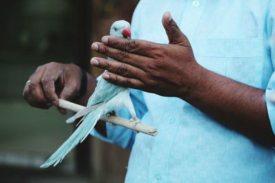 Close-up of cropped hand holding object over white background