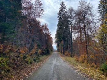 Road amidst trees in forest during autumn