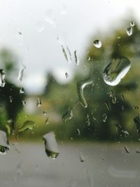 Close-up of water drops on glass