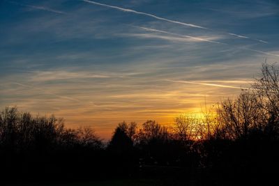 Silhouette plants against sky during sunset