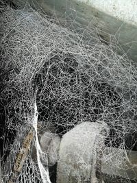 Close-up of fishing net