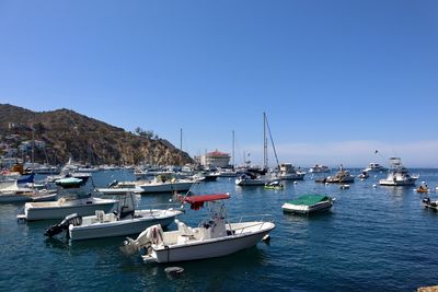 Sailboats moored at harbor against clear blue sky