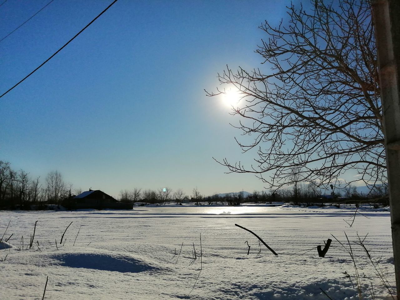 SNOW COVERED LAND AND BARE TREES AGAINST SKY