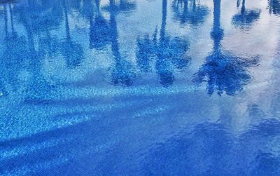 Reflection of trees on blue swimming pool