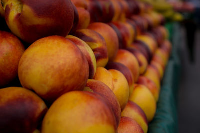 Close-up of fruits for sale