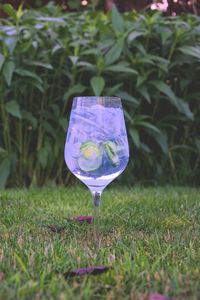 Close-up of drink on field