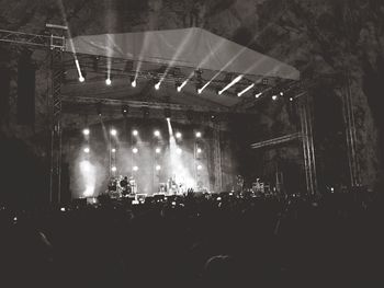 Rear view of man in concert at night