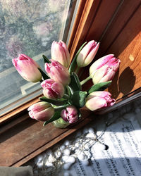High angle view of pink tulip on table