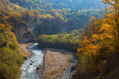 Autumn in the mountains and a mountain river in the gorge. 