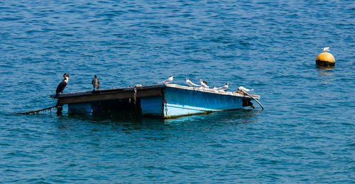 Boat sailing in sea