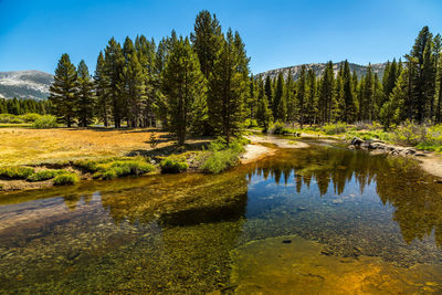 Scenic view of lake against clear blue sky