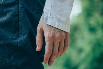 Close-up of person hand holding leaf