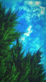 Low angle view of trees against cloudy sky