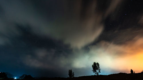 Low angle view of silhouette trees against sky at night