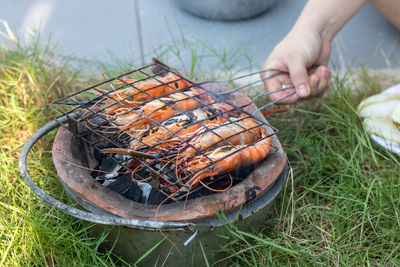 Cropped image of person holding fish on grass