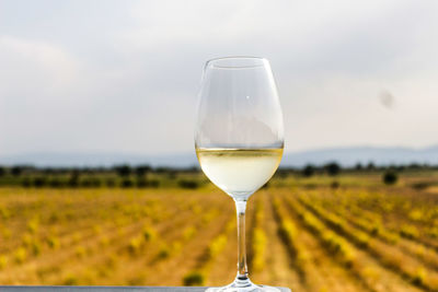 Close-up of wine glass on field against sky