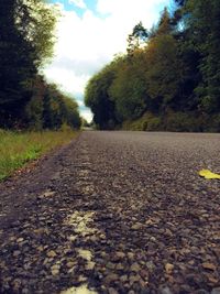 Empty road with trees in background