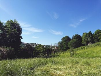 Trees on field against sky