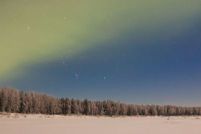 Aurora and snowy landscape