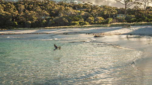 Scenic view of sea