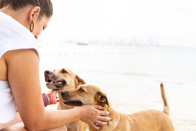 Side view of young woman with dog sitting at beach