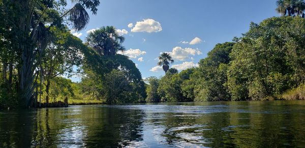 Scenic view of lake in forest against sky