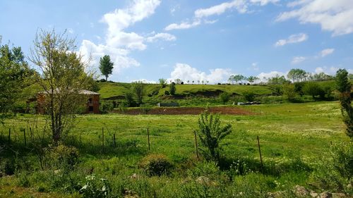 Scenic view of grassy field against cloudy sky