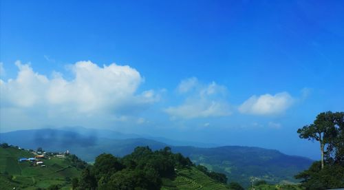 Panoramic view of trees on landscape against sky