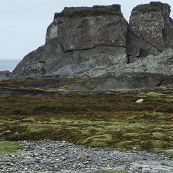 Rock formations on cliff
