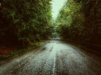 Road amidst trees in forest