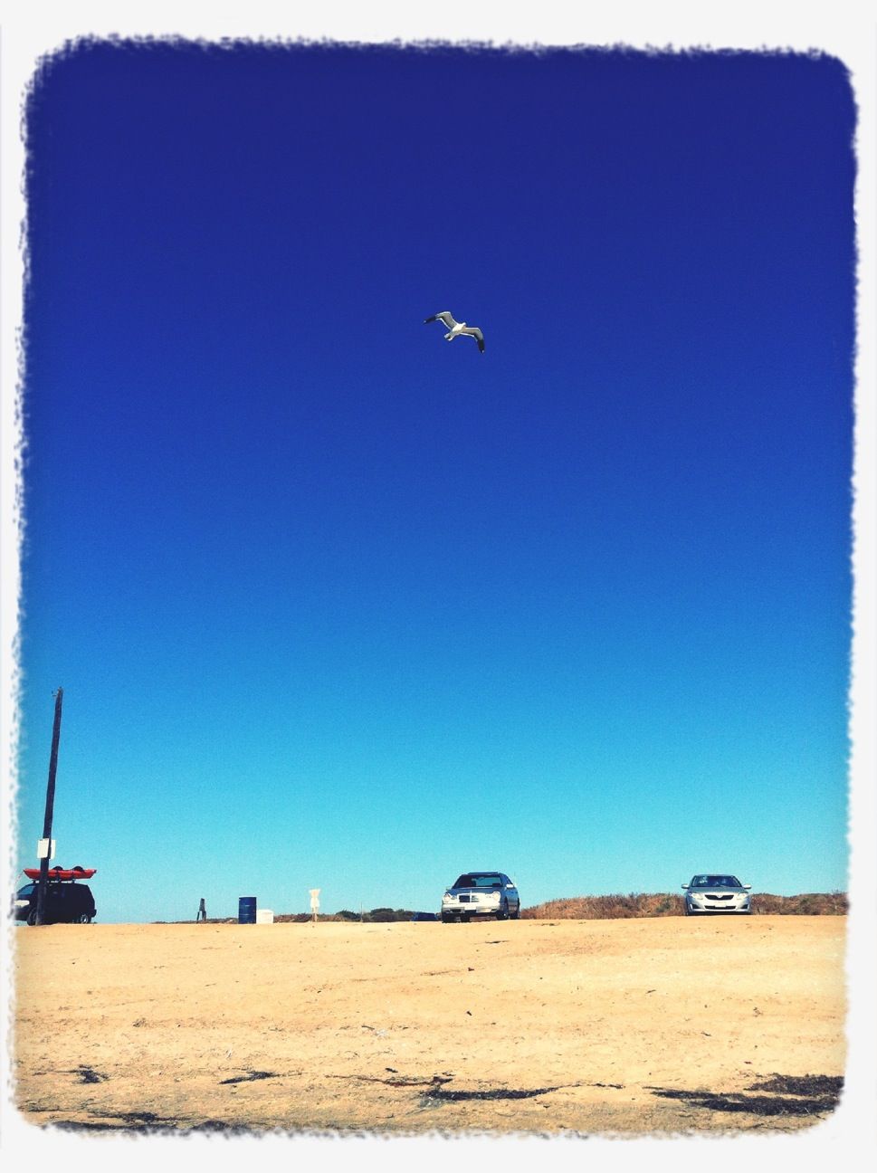 Mission Bay - Fiesta Island