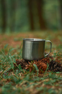 Close-up of coffee cup on plant in field