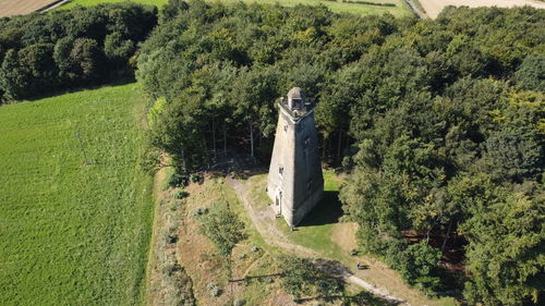 View of tower amidst trees