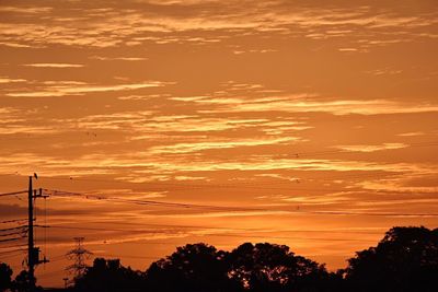 Silhouette trees against sky during sunset