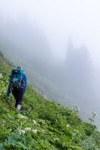 Hiking scenes in the beautiful north cascades.