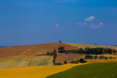 Scenic view of landscape against blue sky