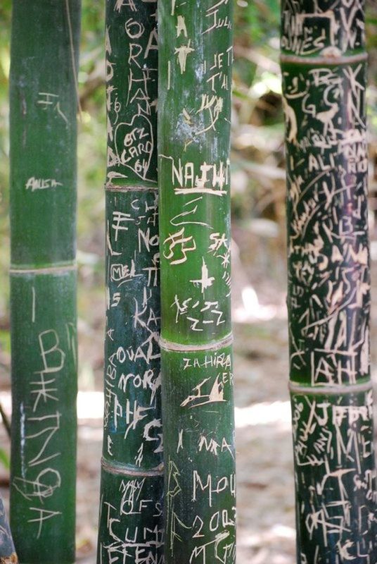 CLOSE-UP OF TEXT ON TABLE