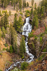 Waterfall in forest