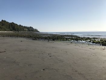 Scenic view of beach against clear sky