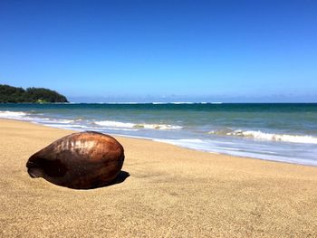 Scenic view of beach against clear sky