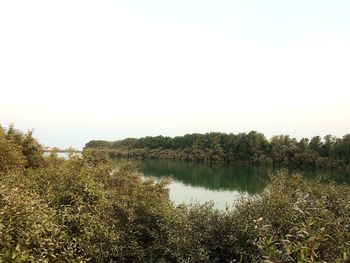 Scenic view of lake against clear sky