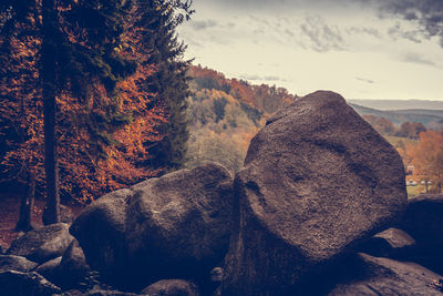 Close-up of rocks on mountain against sky