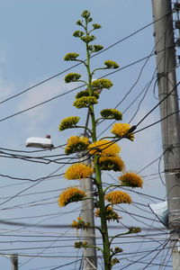 Low angle view of electricity pylon against blue sky