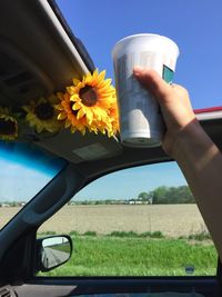 Close-up of hand holding yellow flower against sky