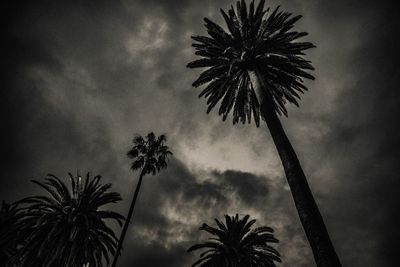 Low angle view of silhouette palm trees against sky