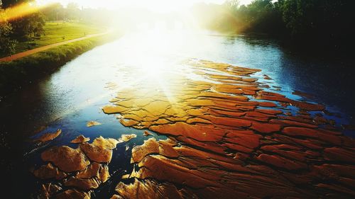 Reflection of trees in water