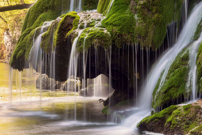 Scenic view of waterfall in forest