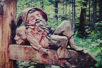 Close-up of statue against tree trunk in forest