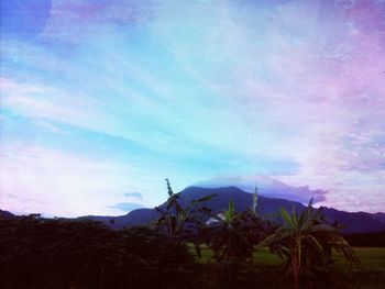 sky