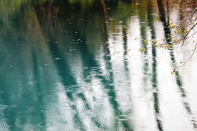 Reflection of trees in water